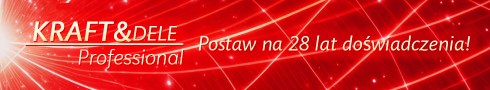 Baner-28lat[1]